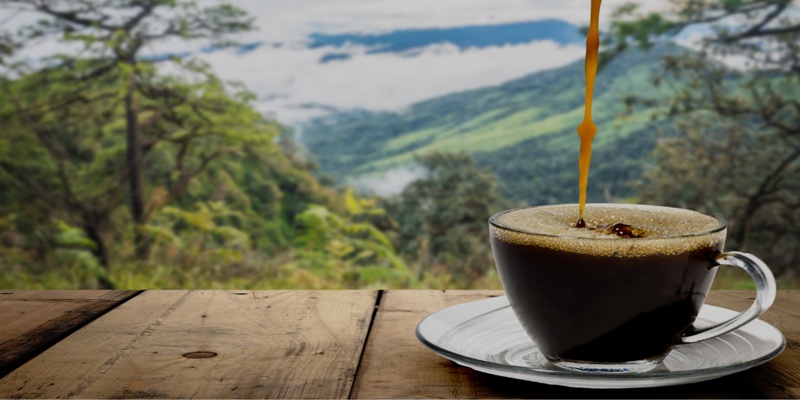 Sustainable Coffee Trends In 2026: From Farm To Cup